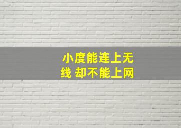 小度能连上无线 却不能上网